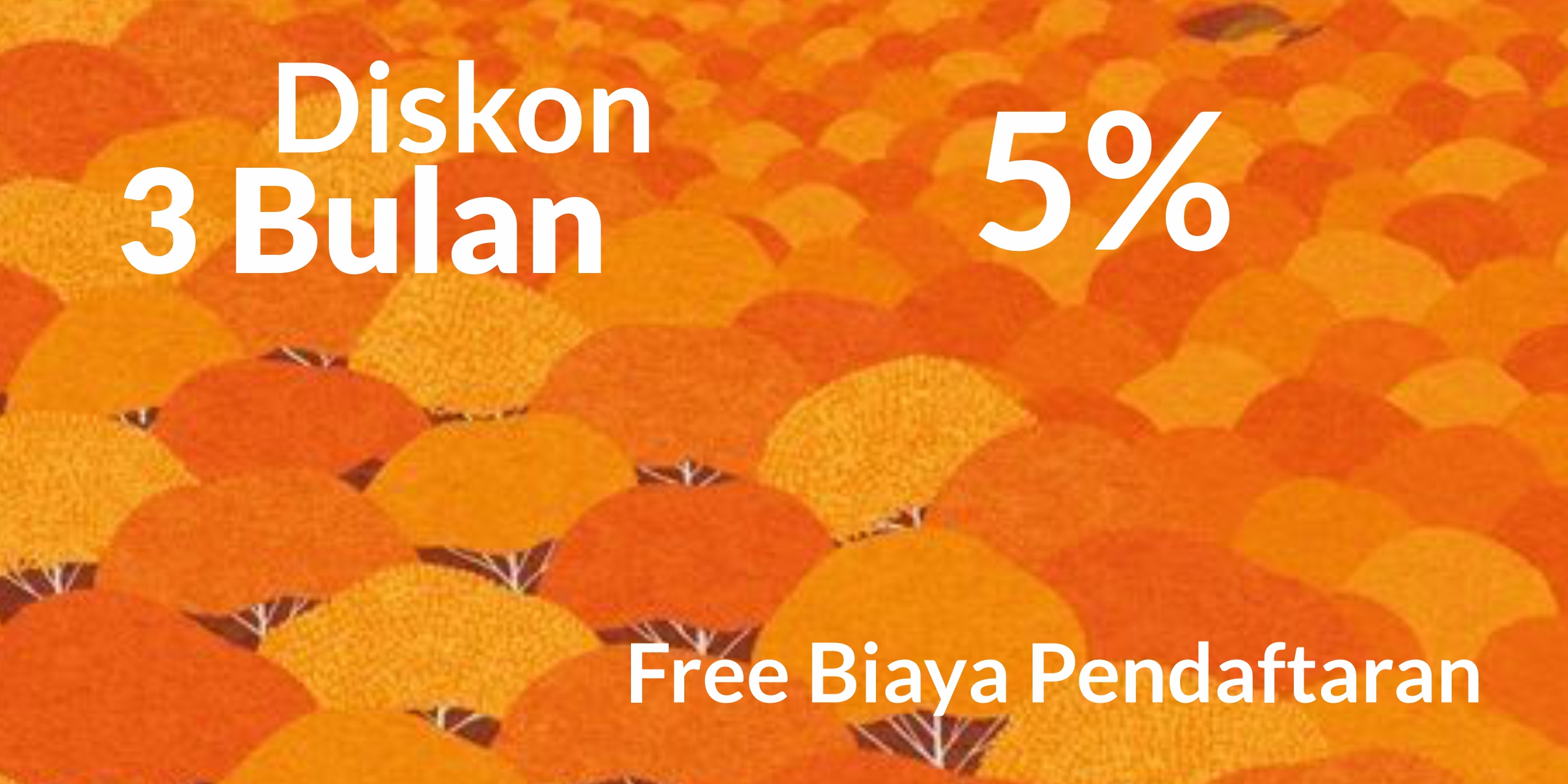 Discount Offer 2